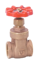 Imagen de VALVULA DE COMPUERTA ROSCABLE 1/2"